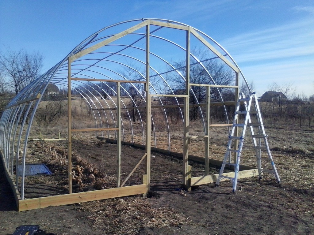 greenhouse ladder