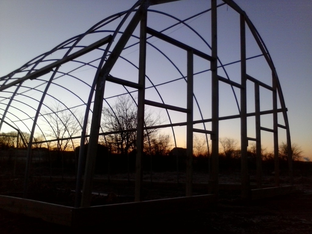 greenhouse sunset 2