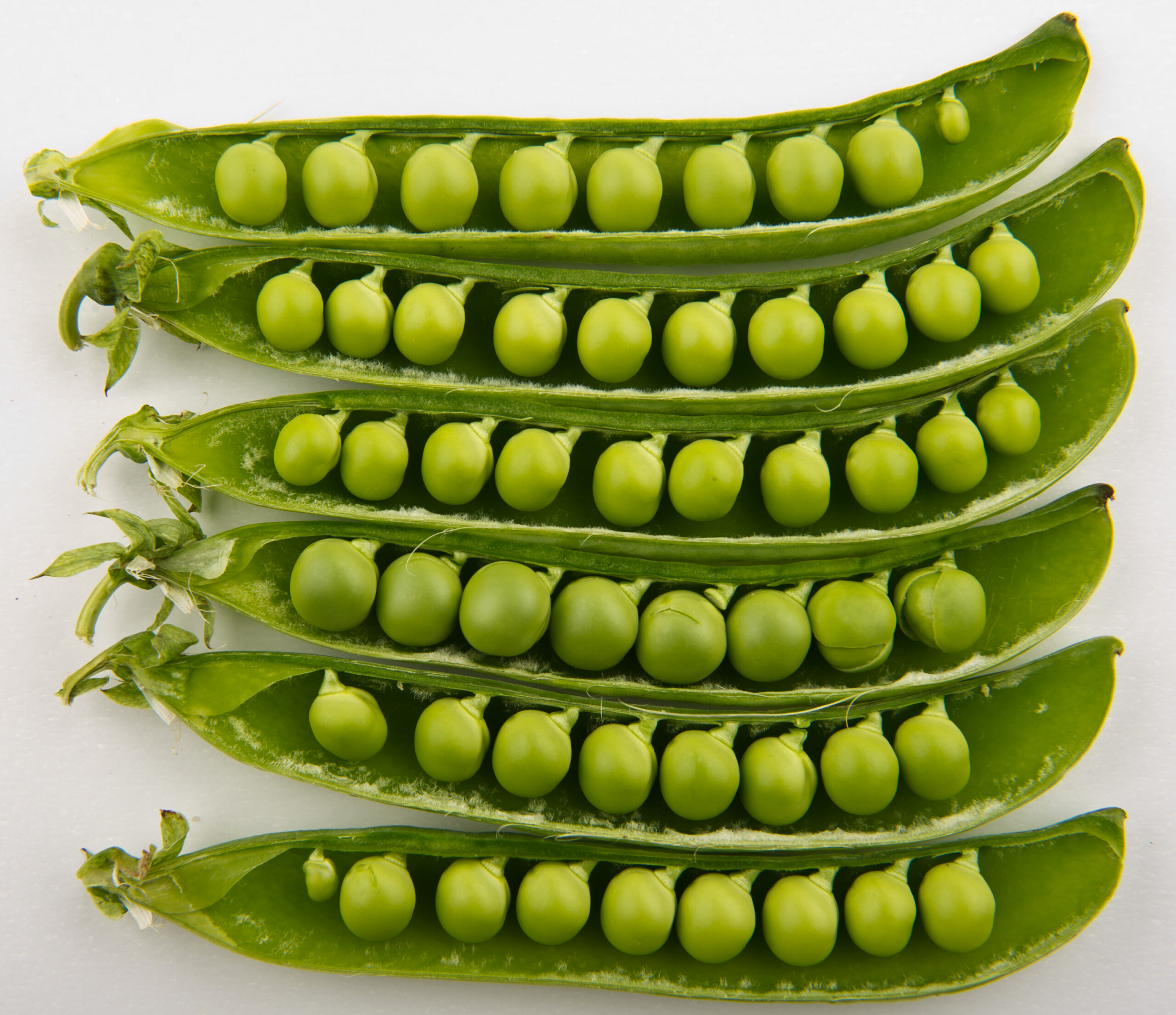 Peas in Pods Independence CSA Coop