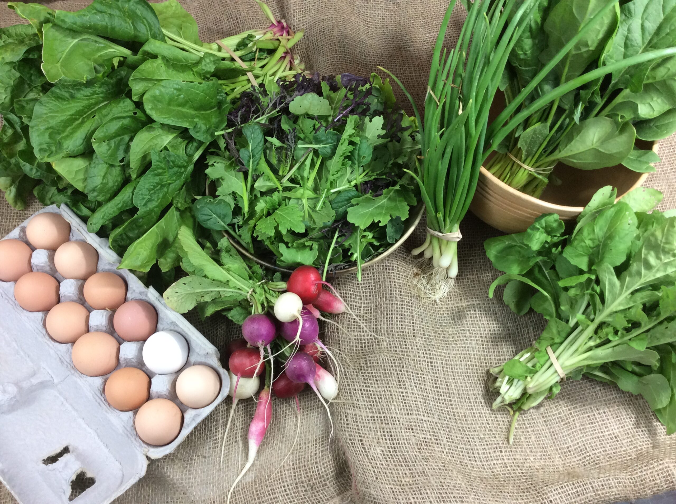 Independence CSA week 1