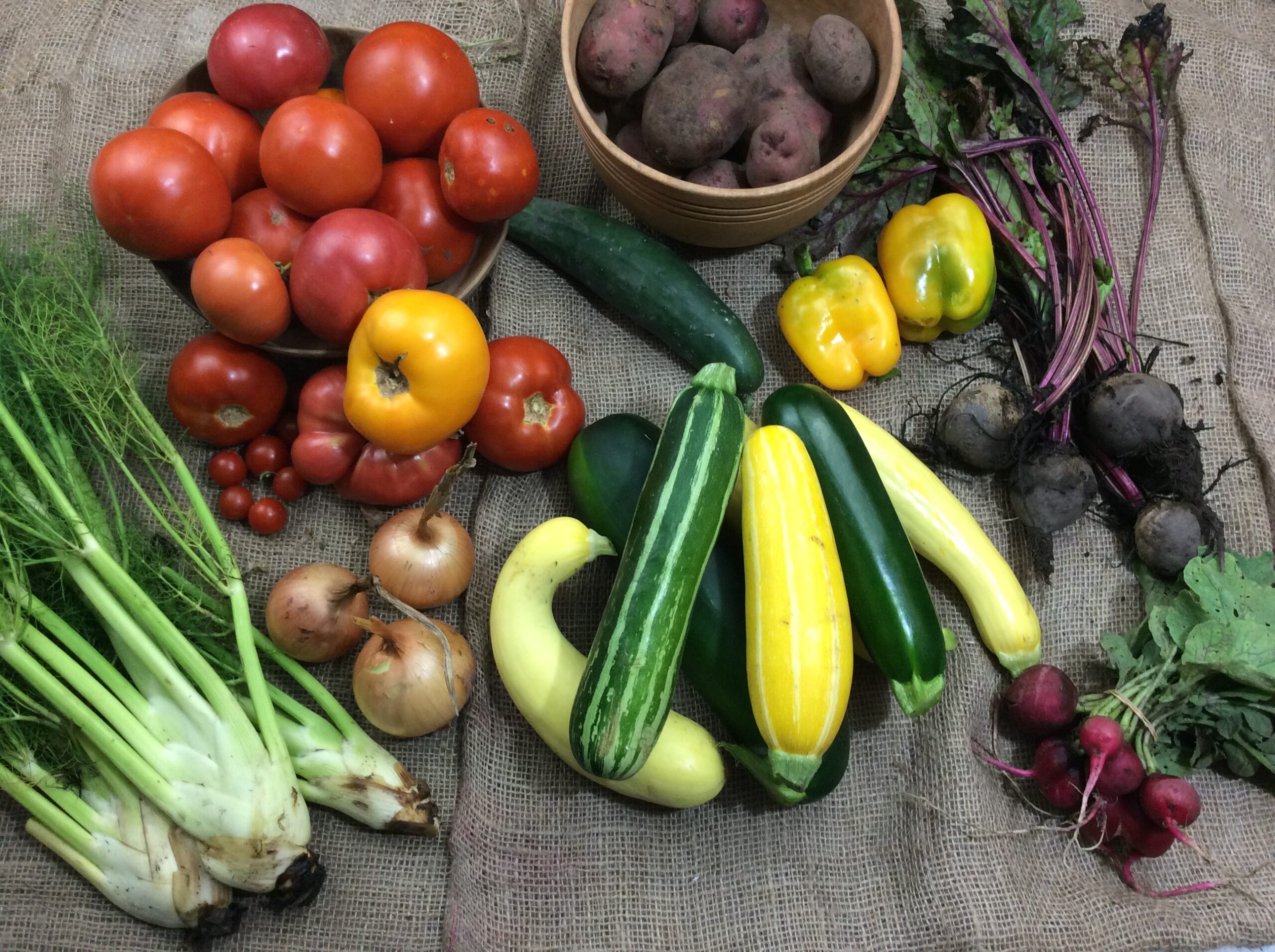CSA week 13 Kansas City, MO