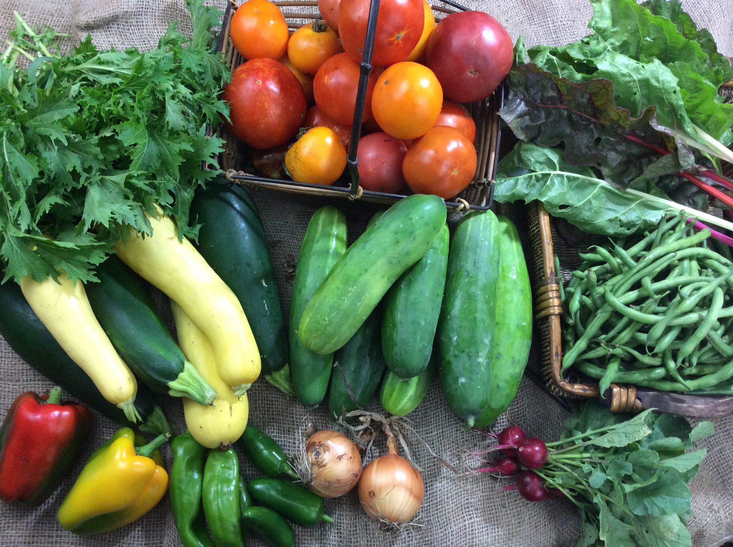 CSA week 16 Kansas City
