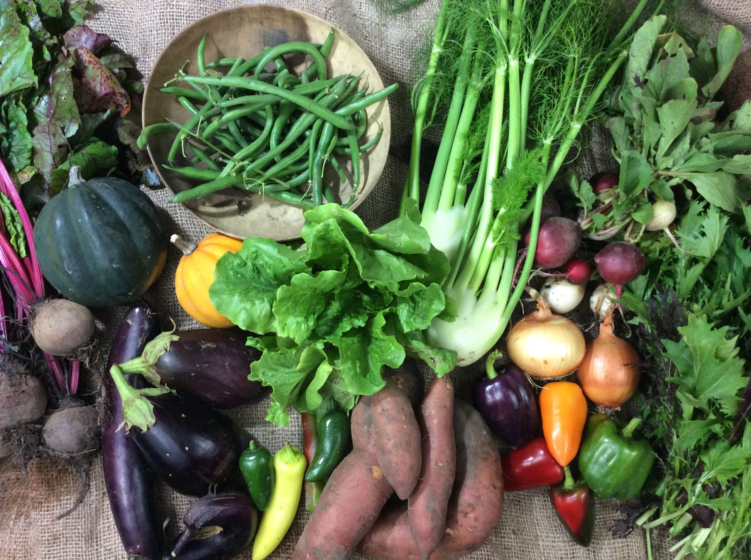 CSA Week 22 Kansas City