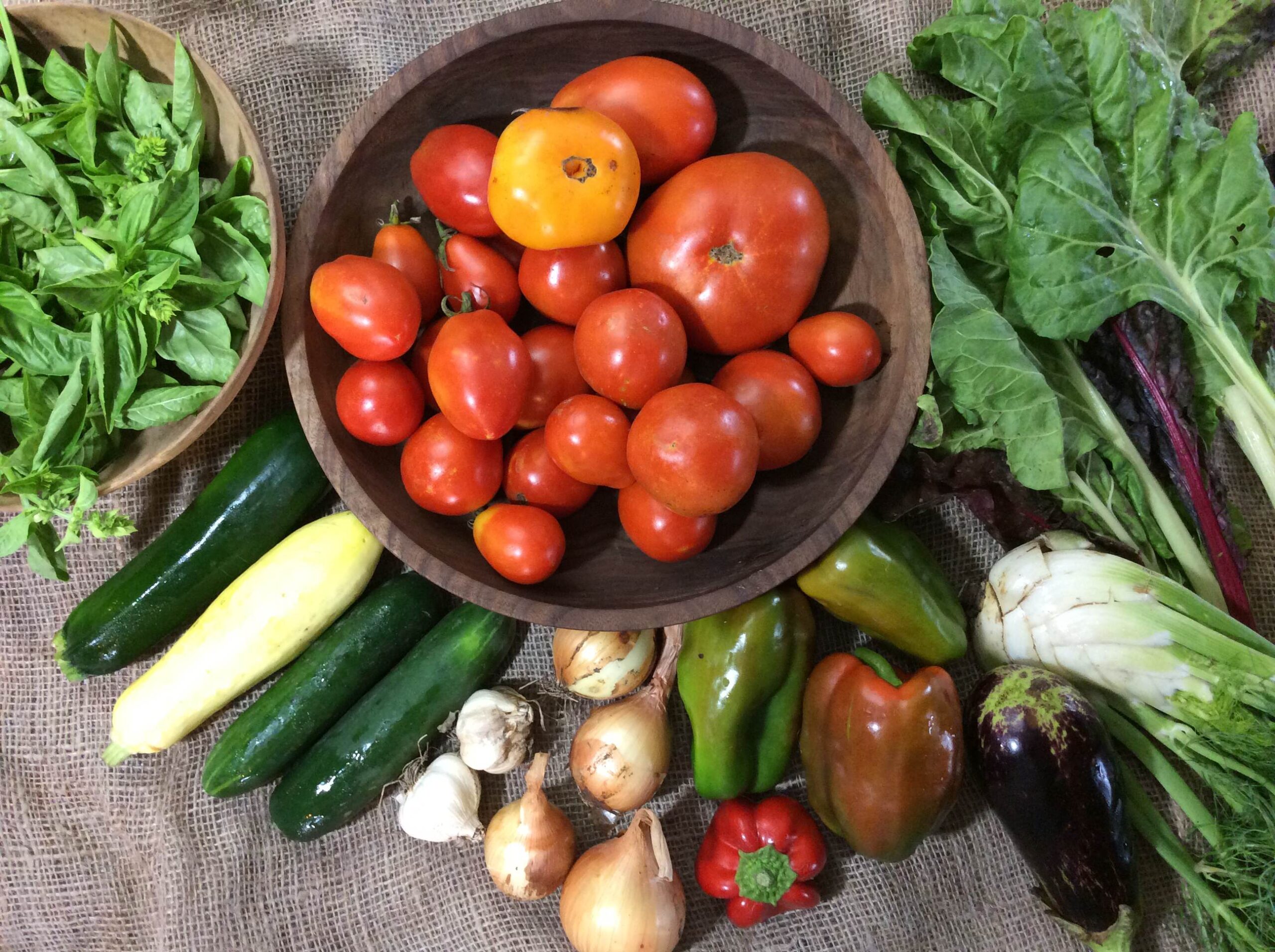 CSA 2015 Week9 Independence,MO