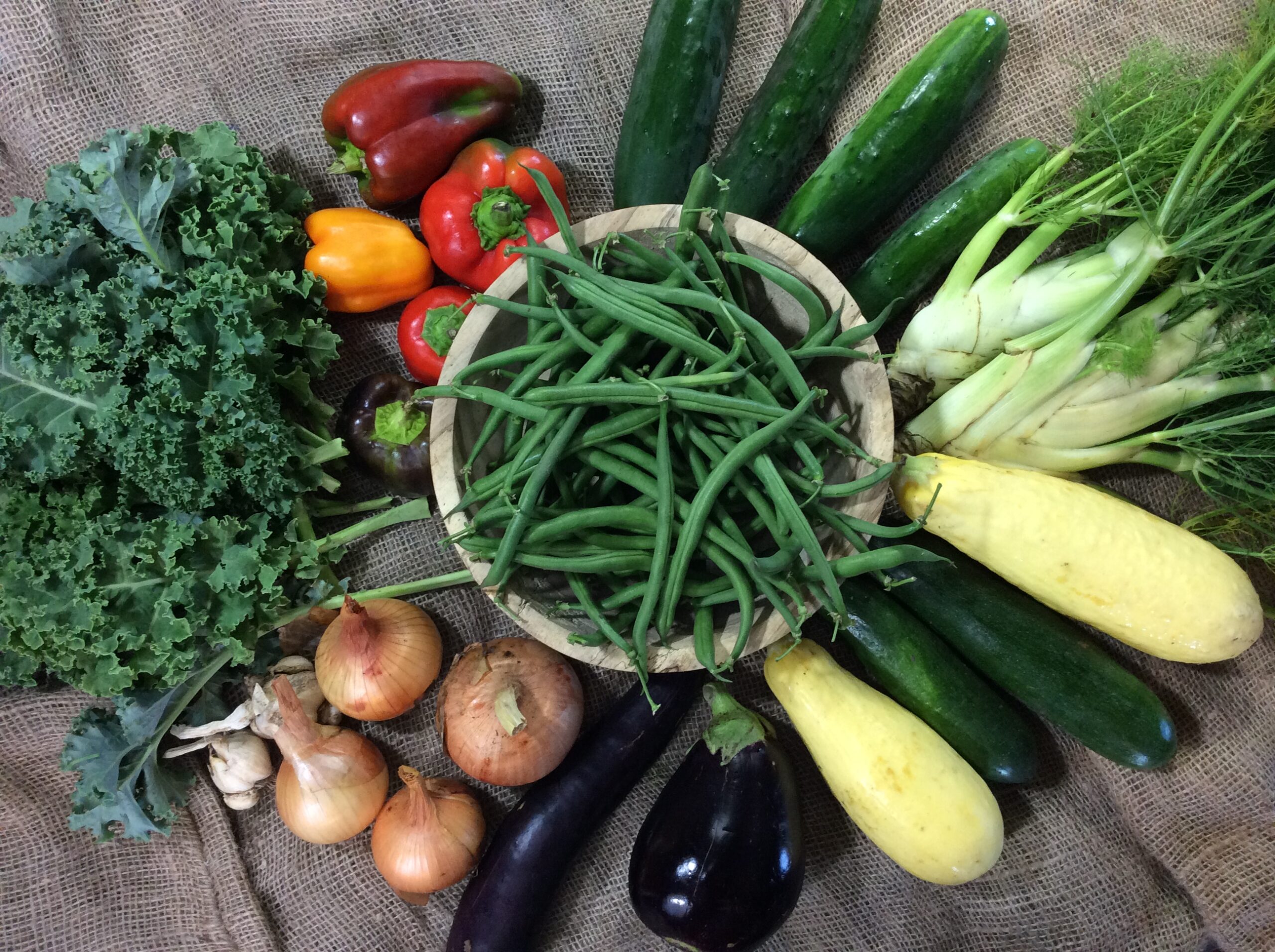 CSA 2015 week 11 Kansas City