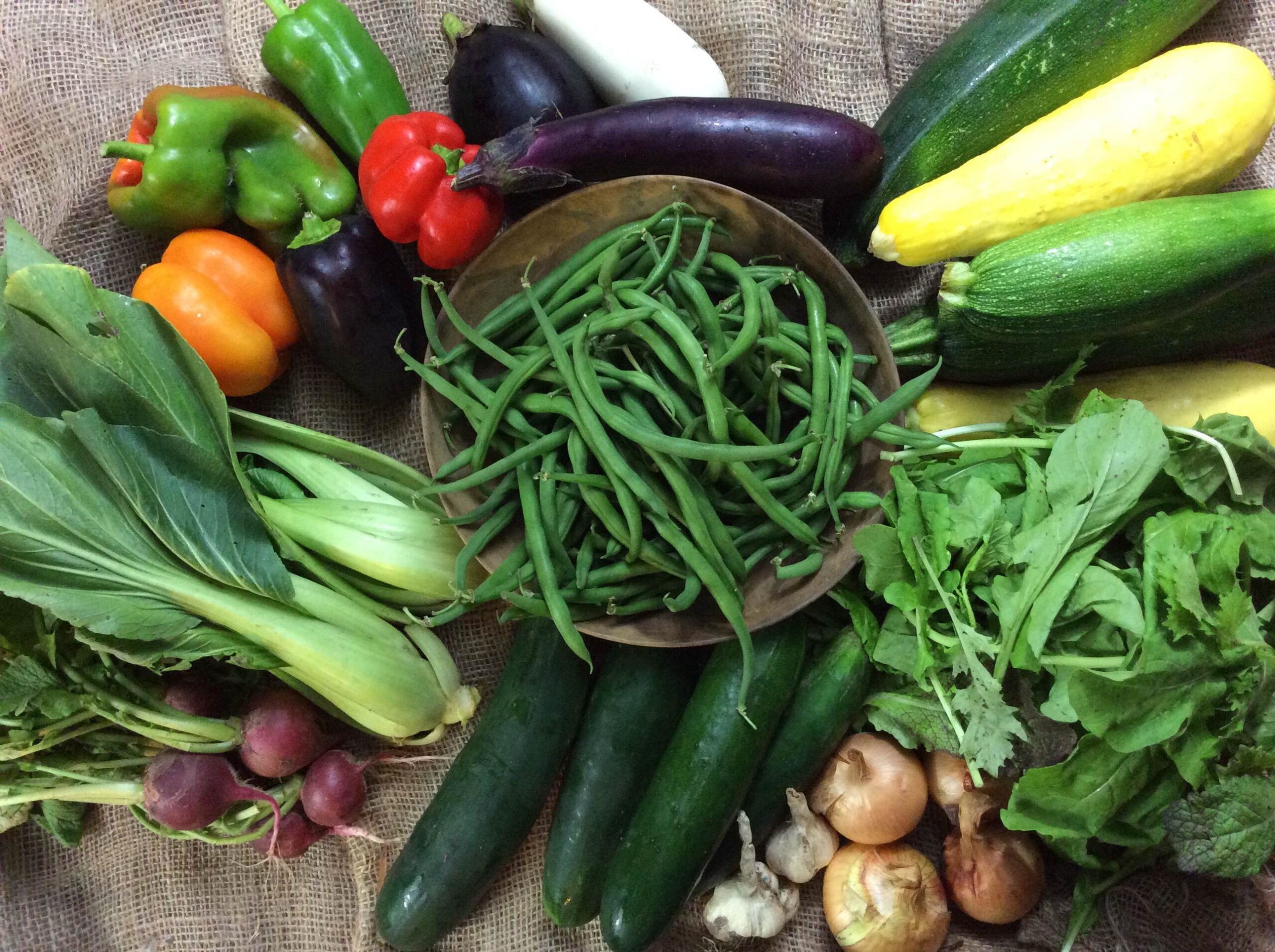 CSA 2015 Week 14 Kansas City MO