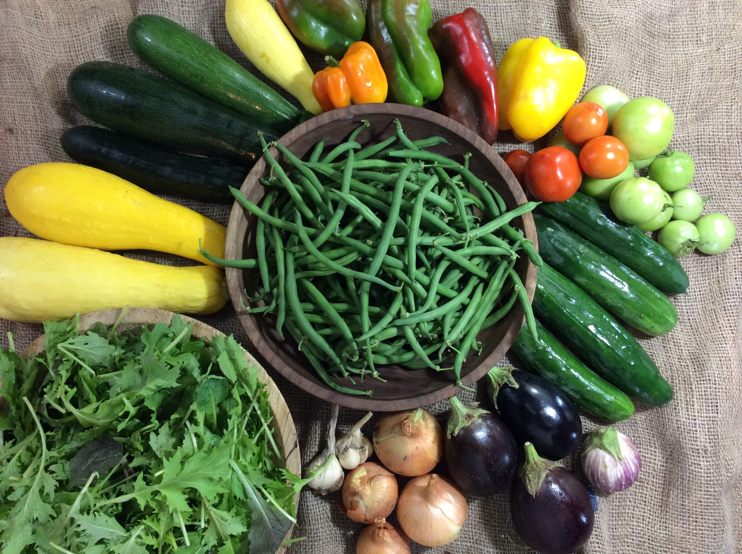CSA 2015 week 13 Kansas City