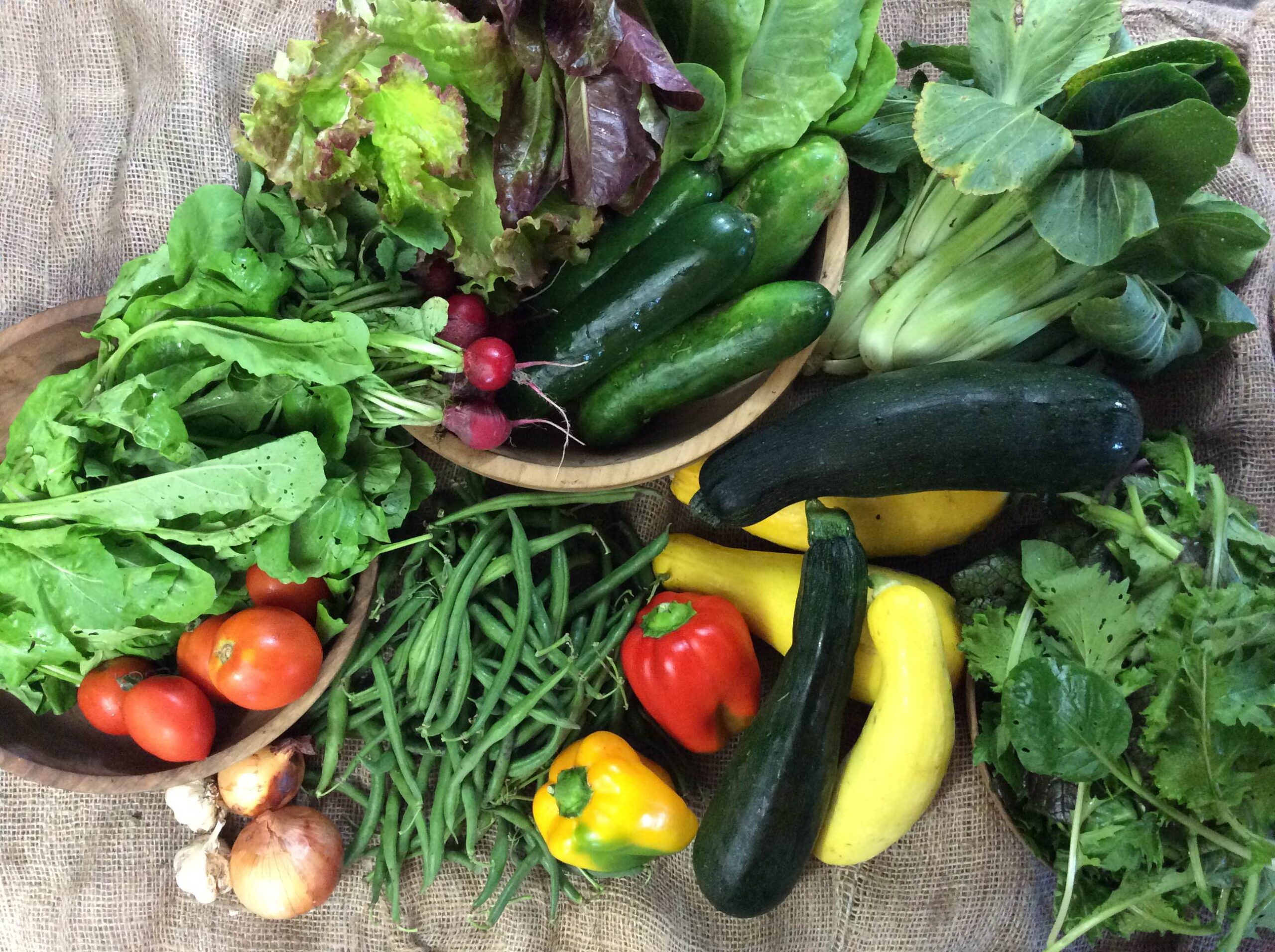 CSA 2015 wk 16 Blue Springs, MO