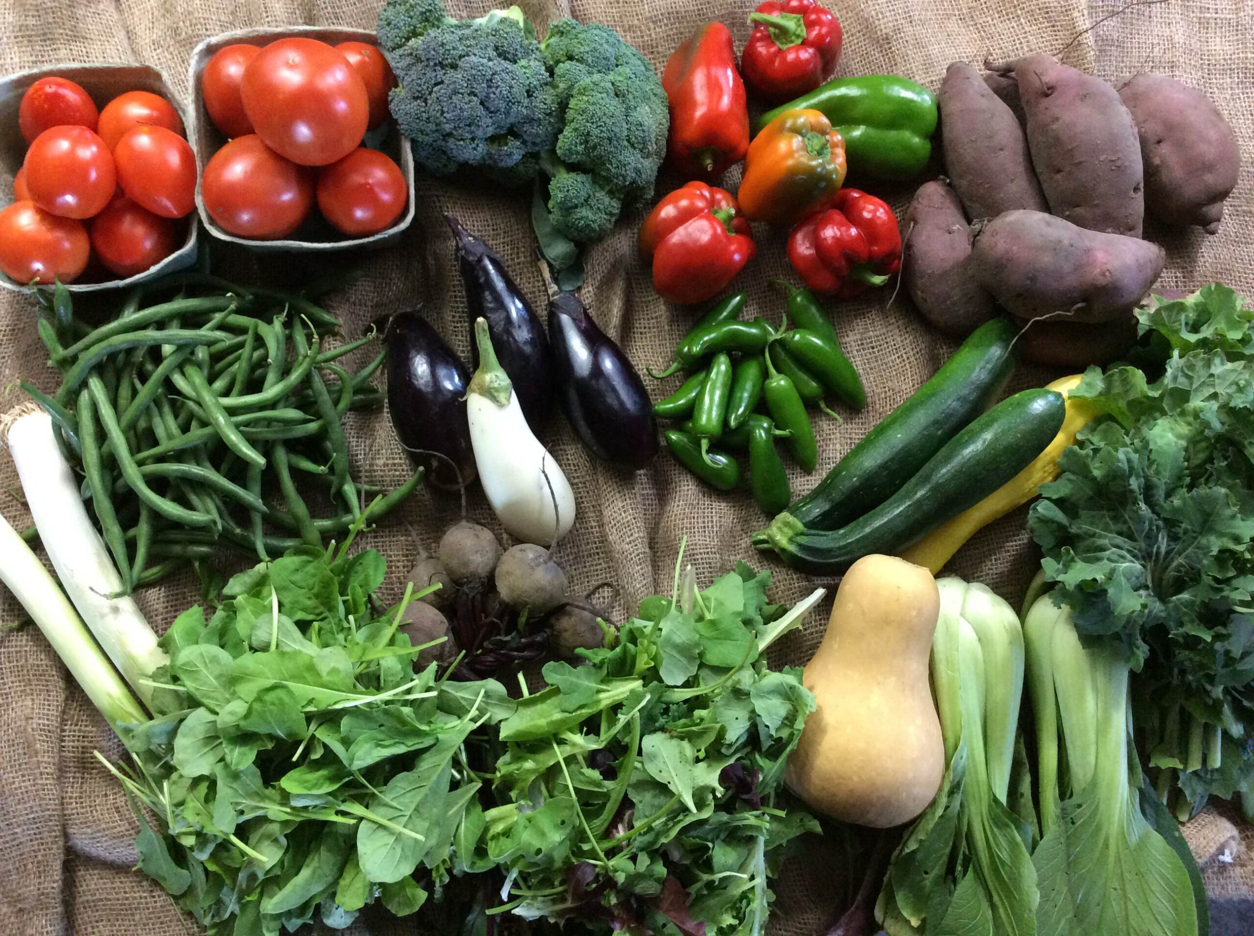 CSA 2015 wk 19 Kansas City, MO