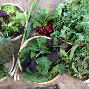 2020-2021 Winter CSA Subscription Membership OUT OF STOCK JOIN WAITLIST