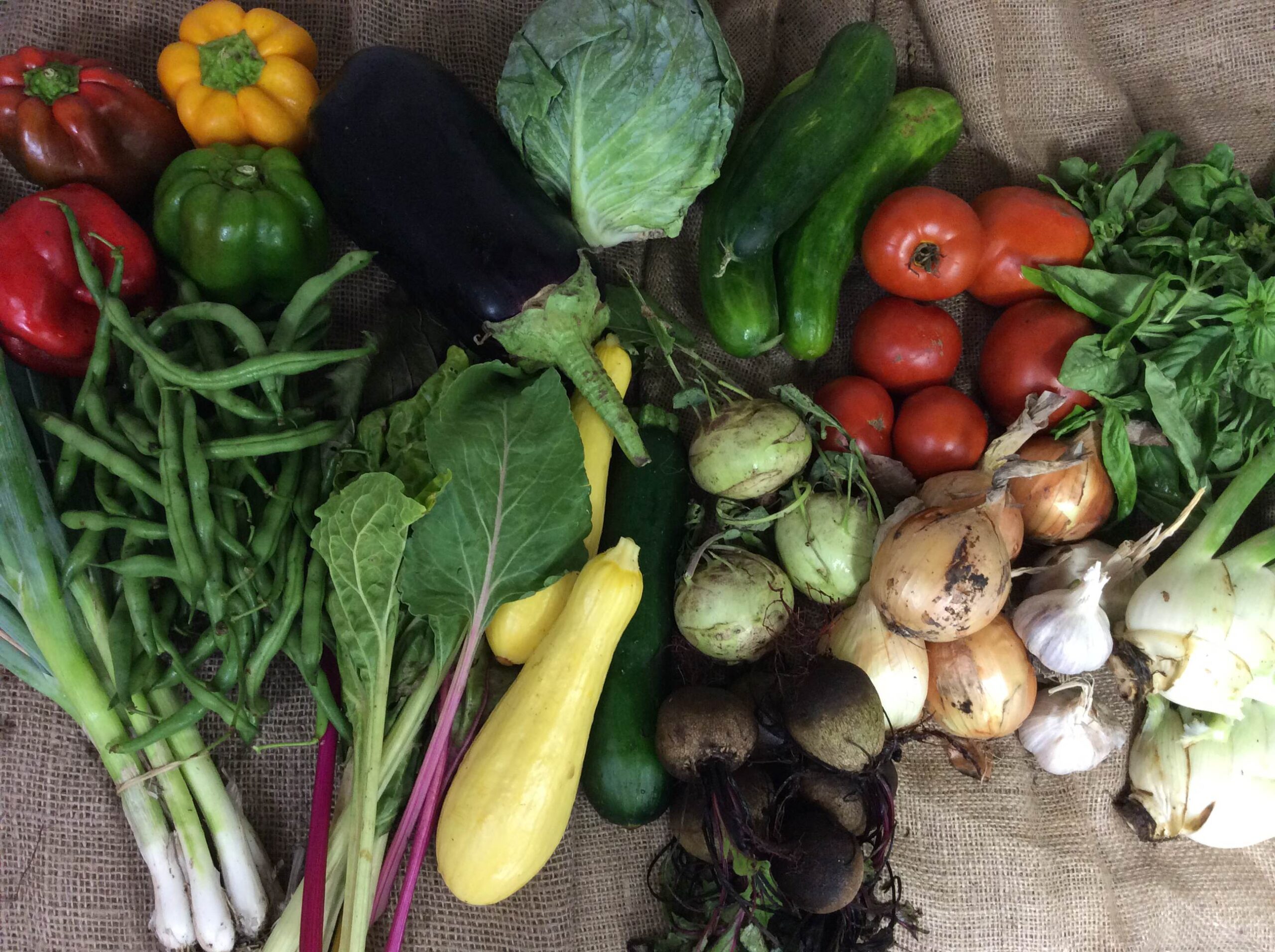 CSA 2016 week 12 Kansas City