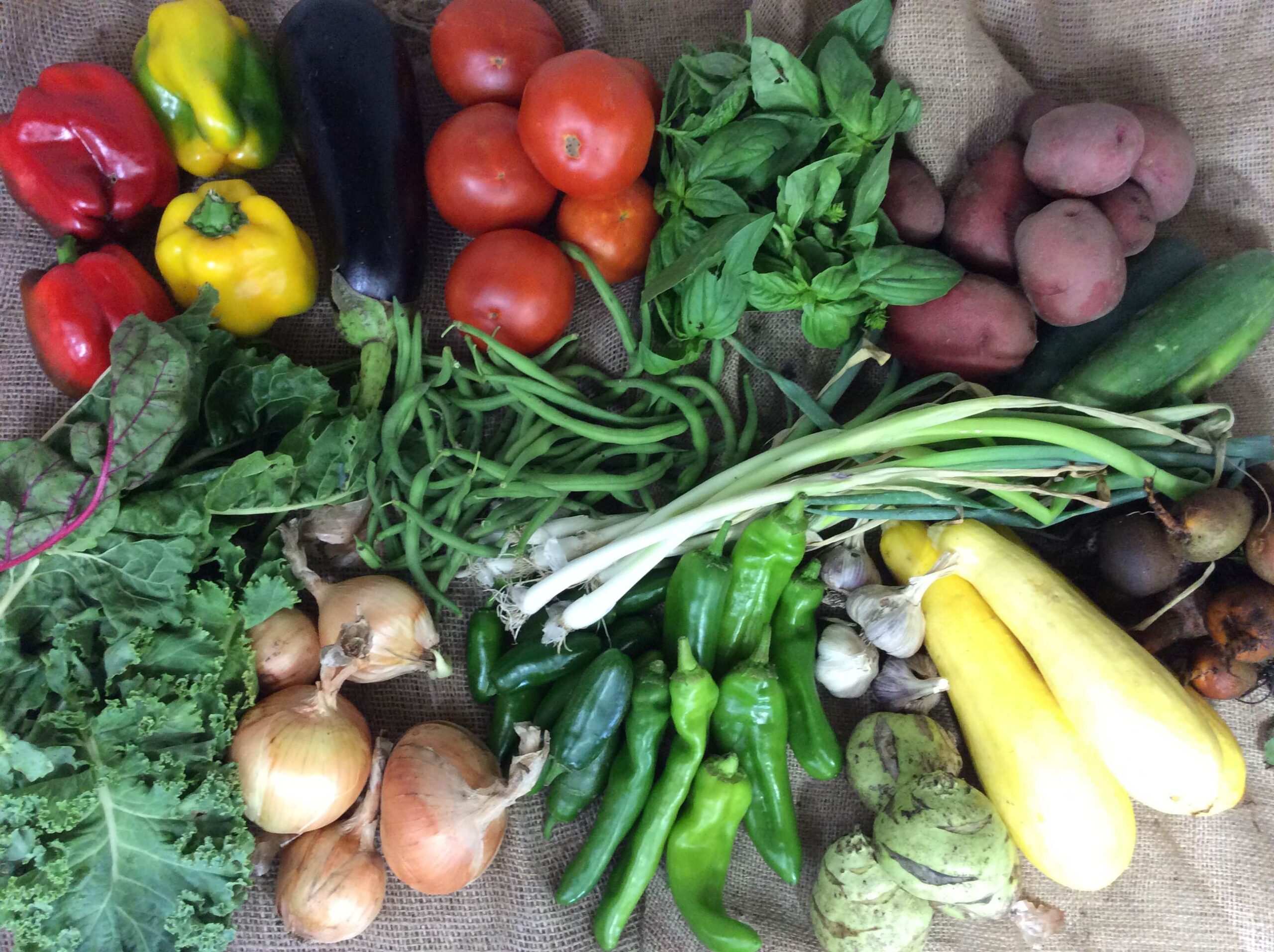 CSA 2016 wk 14 Independence, MO