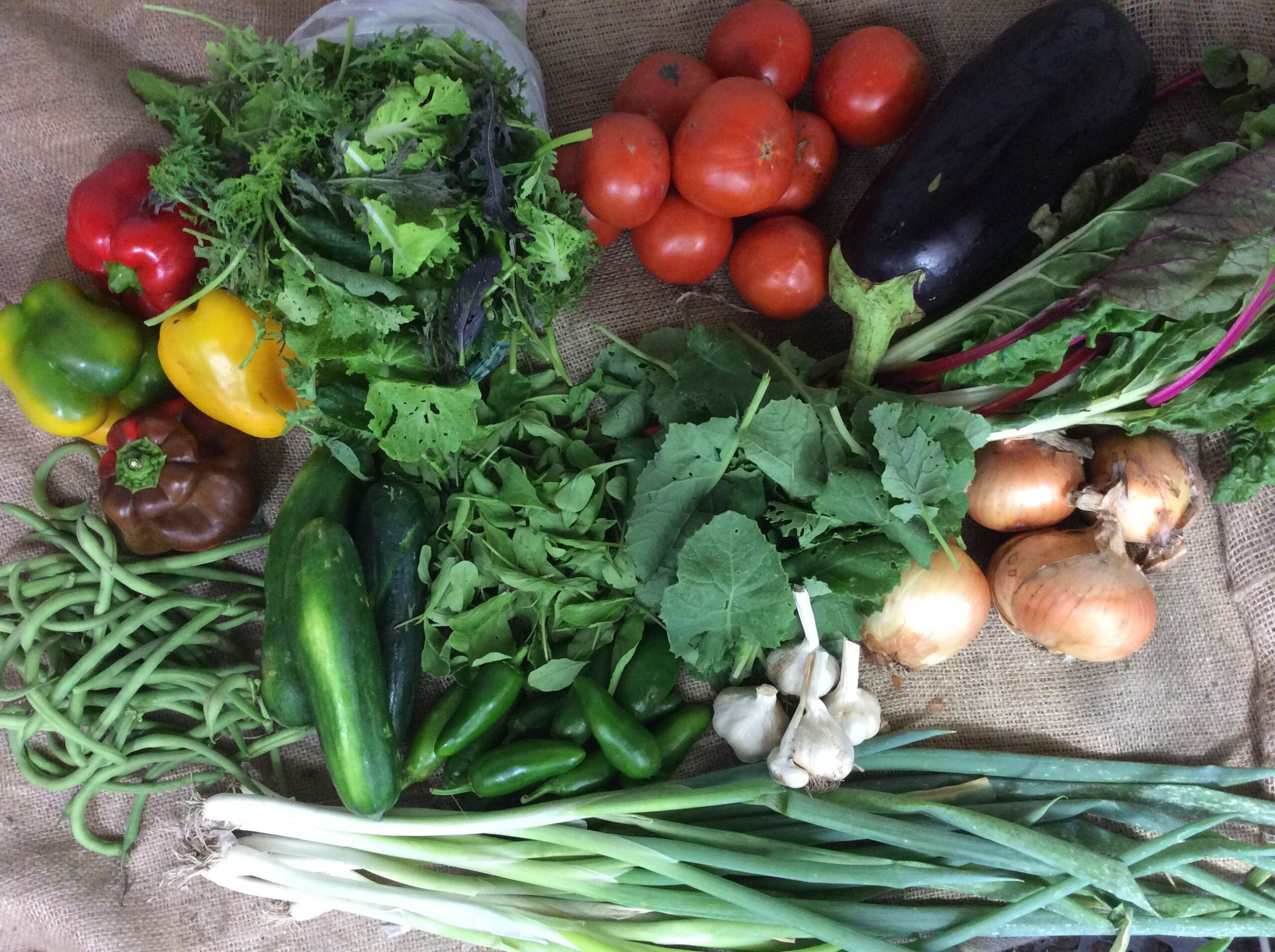 CSA 2016 wk 15 Blue Springs MO