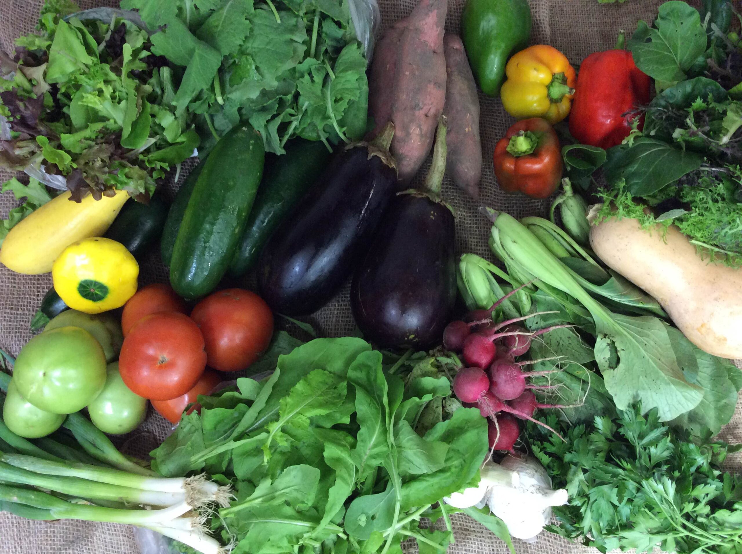 csa-2016-week-22-lees-summit