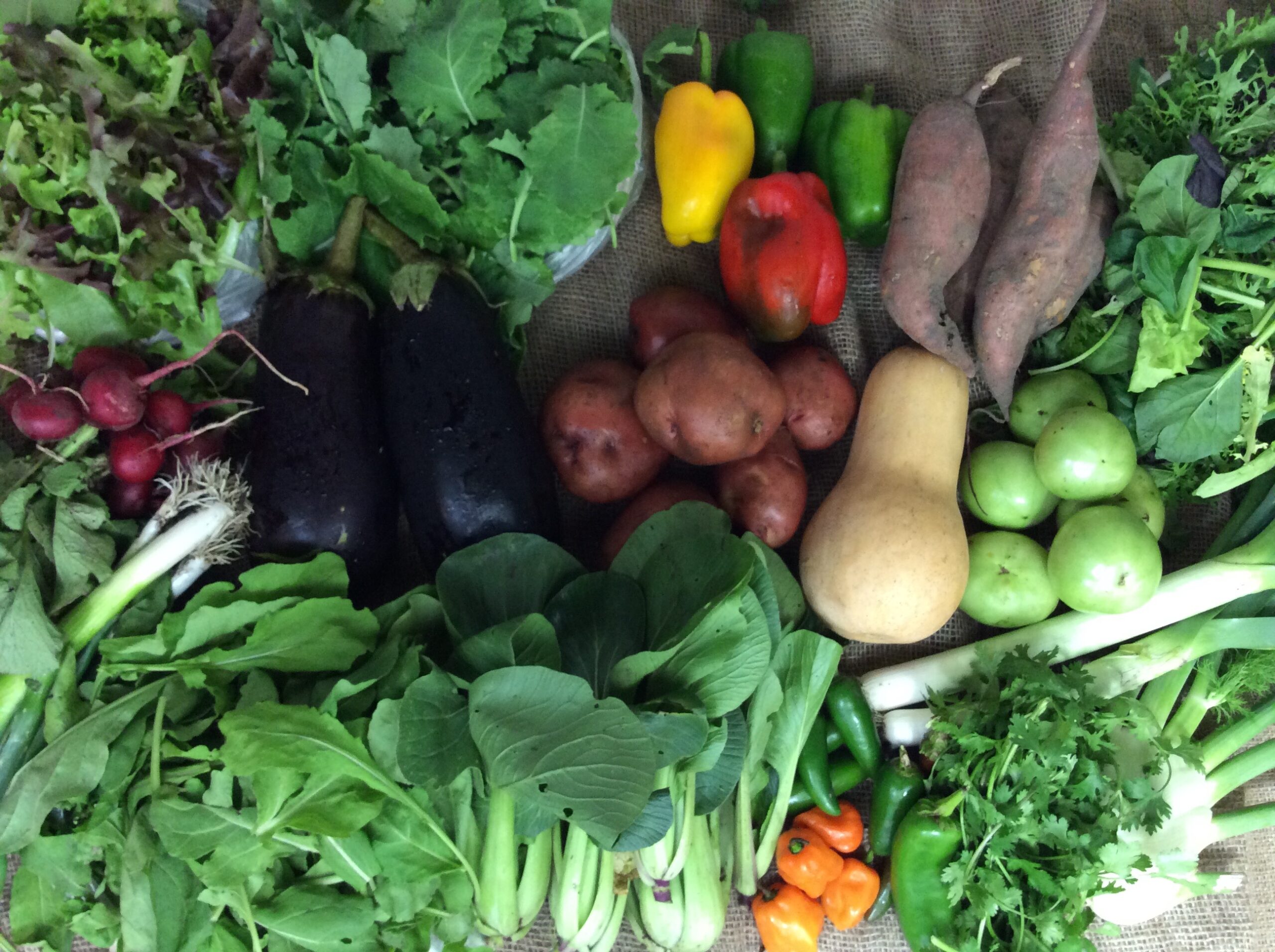 CSA 2016 Week 24 Kansas City, MO