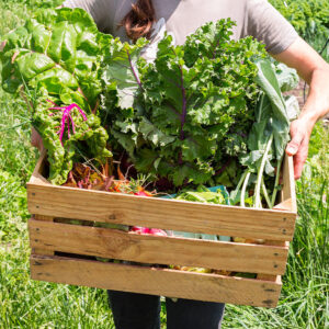 2021 Summer-Fall CSA Subscription Membership